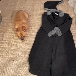 Beautiful small gray wool coat w/detachable hood